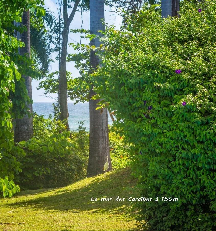 Villa Cezanne Sainte-Rose Zewnętrze zdjęcie